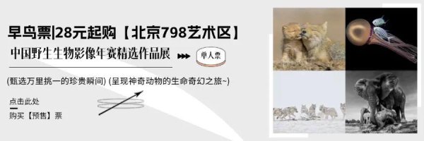 卓信宝配资 甜蜜陷阱！顺义男子网恋遭“高学历女友”套路，70万积蓄打水漂