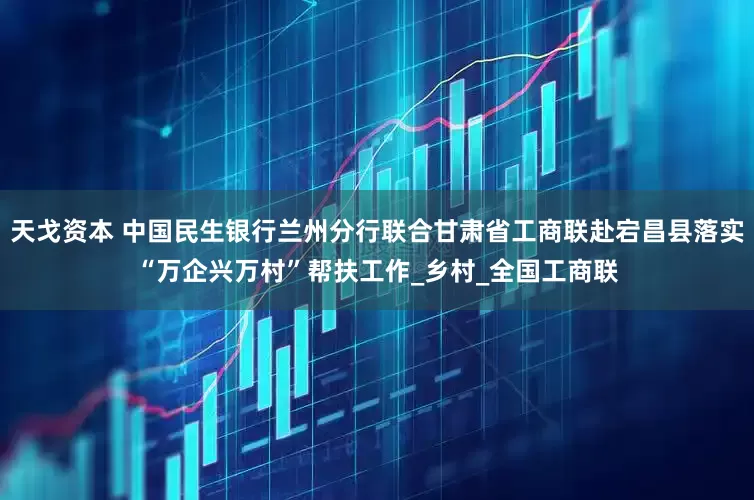 天戈资本 中国民生银行兰州分行联合甘肃省工商联赴宕昌县落实“万企兴万村”帮扶工作_乡村_全国工商联