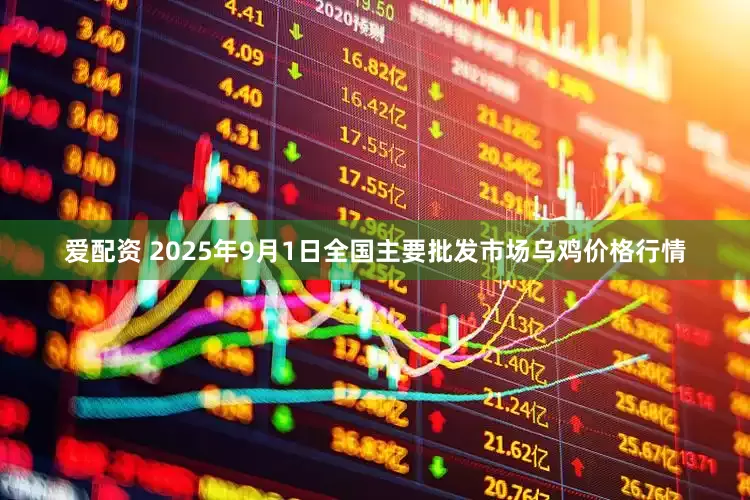 爱配资 2025年9月1日全国主要批发市场乌鸡价格行情